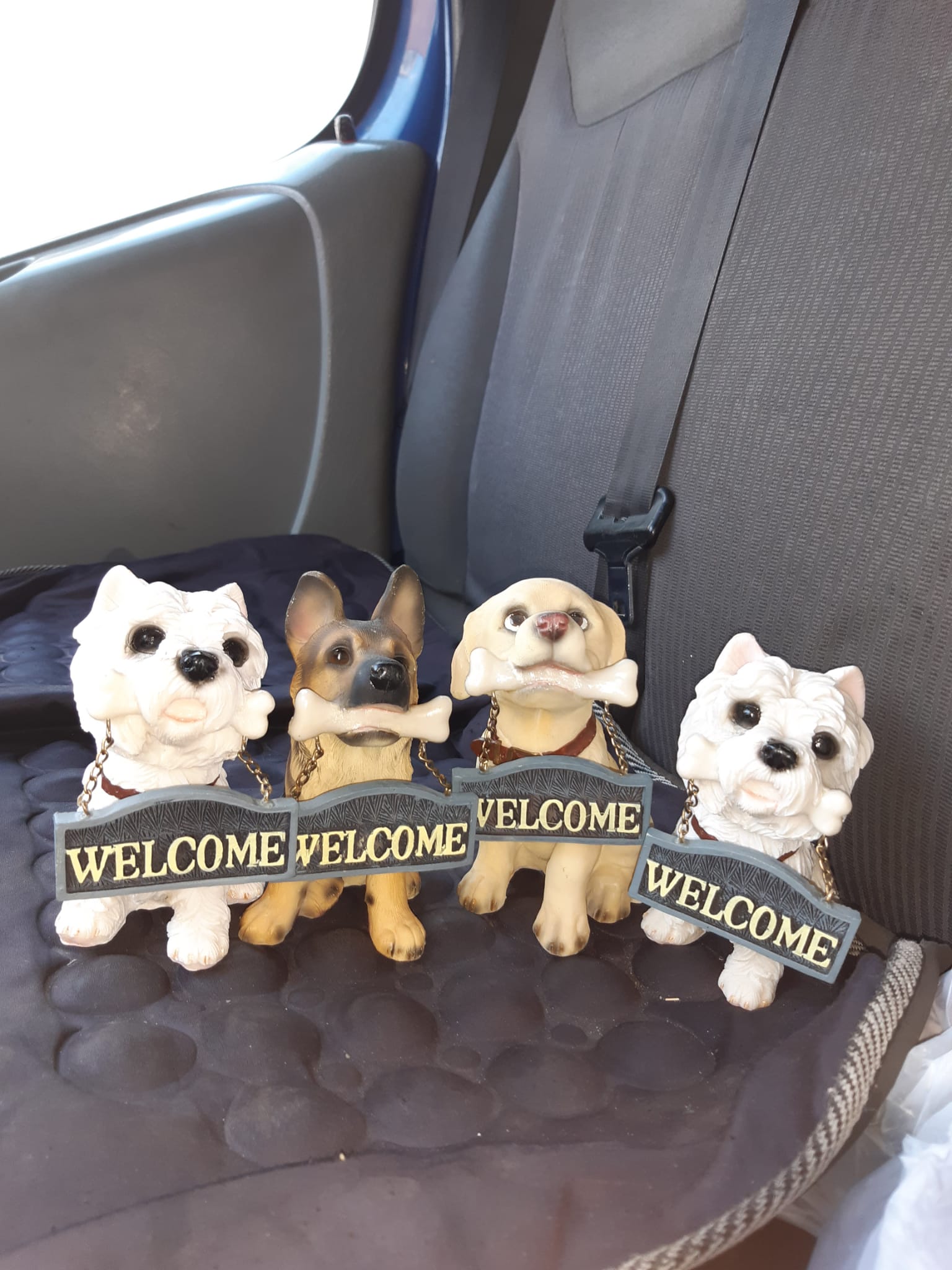 Decorative welcome puppies